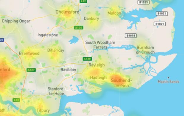 New data reveals Japanese Knotweed hotspots in Essex